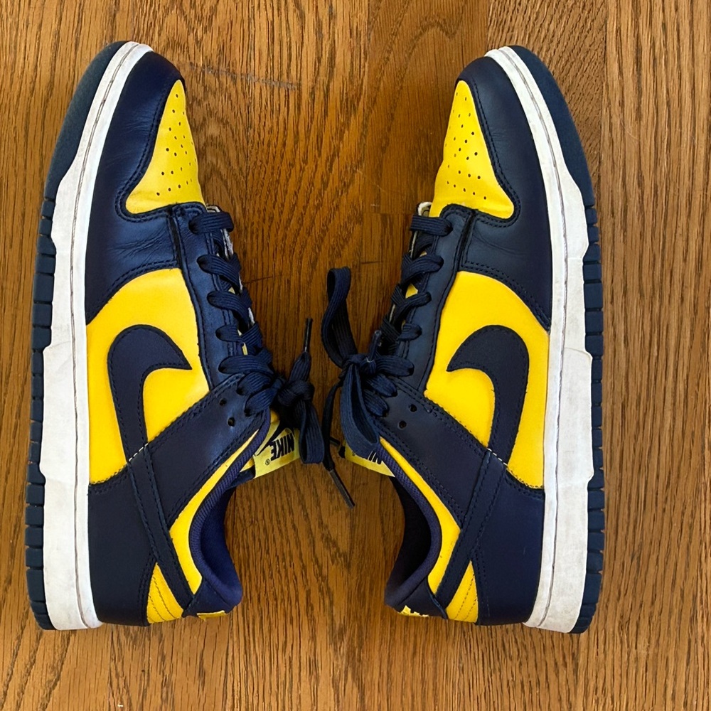 Nike Michigan Low Dunks